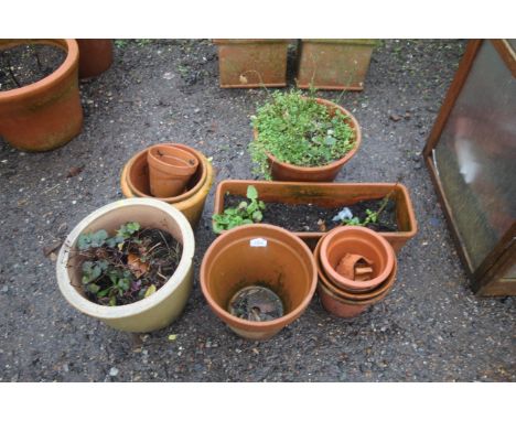 A quantity of various terracotta plant pots, terracotta plant trough, glazed plant pots, some with contents etc.