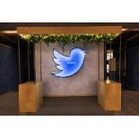 Neon Twitter Bird Light Electrical Display