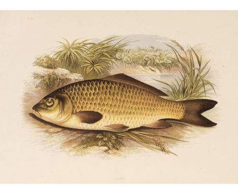 Houghton (William). British Fresh-Water Fishes, 2 volumes, 1st edition, London: William Mackenzie, [1879], titles printed in 