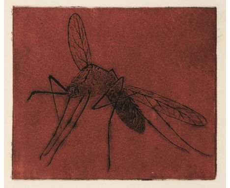 Apiary Press. Insects, Apiary Press, Northampton, Massachusetts, 1959, 11 etched plates by Helen Marie Fesenmaier, including 