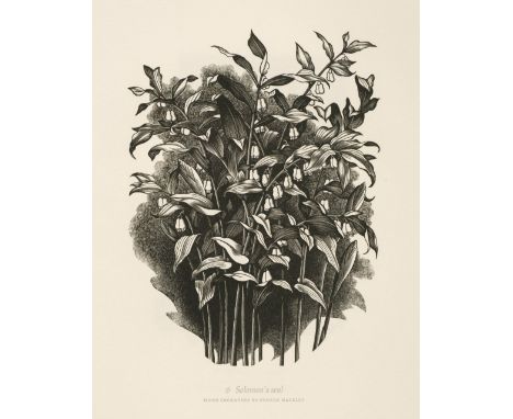 Mackley (George, 1900-1983). Engraved in the Wood. A Collection of Wood Engravings by George Mackley, with an appreciation by