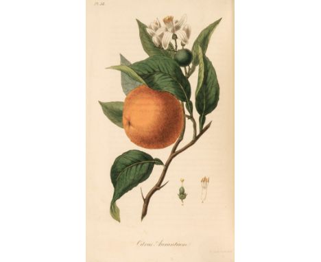 Stephenson (John &amp; James M. Churchill). Medical Botany; or, illustrations of the medicinal plants of the London, Edinburg