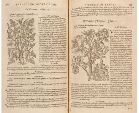Gerard (John). The Herball or Generall Historie of Plantes, 1st edition, London: John Norton, 1597, engraved title (with marg