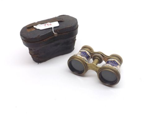 A late 19th Century Porcelain and mother-of-pearl mounted cased Opera Glasses decorated with floral sprays, no makers marks a