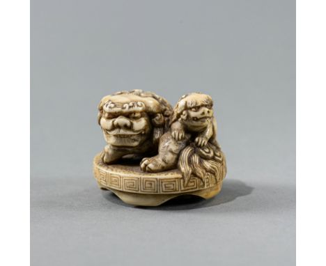 Netsuke eines Shishi mit Jungem aus Elfenbein,JAPAN, bezeichnet Tomochika, 19. Jh.H. 4,5 cmAus einer alten deutschen Privatsa