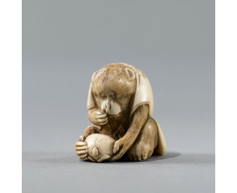 Netsuke eines Affen, bekleidet mit einem Haori, an einer Kaki-Frucht naschendJAPAN, signiert Masatomo, Meiji-PeriodeH. 3,5 cm