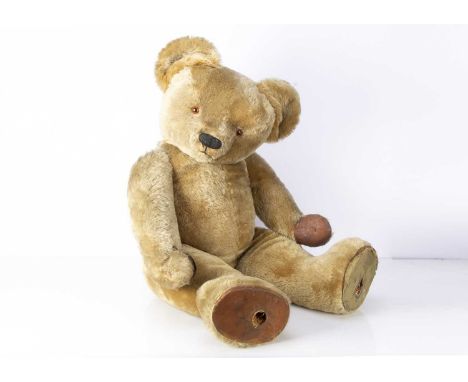 A very large Chad Valley Bear Brand Stocking shop window display Teddy Bear from Birmingham’s Children’s Hospital 1950s, with