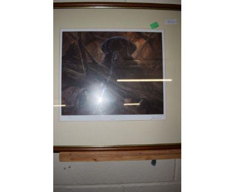 JOHN TRICKETT, LTD ED COLOURED PRINT, "INQUISITIVE", 217/850, SIGNED IN PENCIL LOWER RIGHT, 5 X 29CM