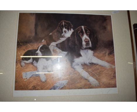JOHN TRICKETT, COLOURED PRINT, SPANIEL WITH PUPPIES, LTD ED 297/850, SIGNED IN PENCIL LOWER RIGHT, 55 X 43CM, FRAMED AND GLAZ