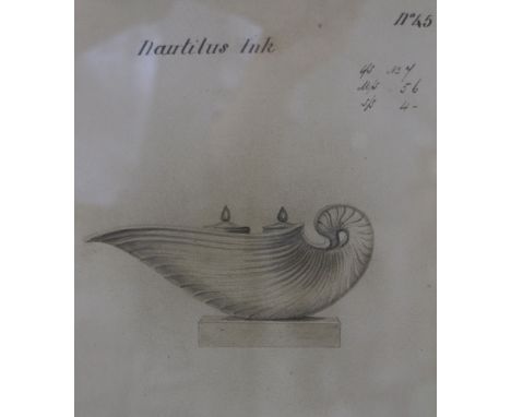 *A set of five monochrome prints of a Sevres inkstand, a nautilus shell, etc, 9" x 6 1/2", in gilt rope twist frames, and two