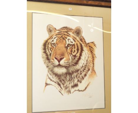 Guy Coheleach (b. 1933), Tiger, print, framed