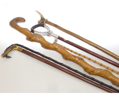 Two horn handle and two other walking sticks and shooting stick