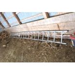 20' Aluminum Ladder