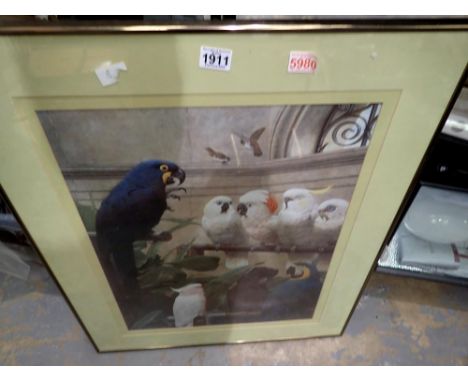 Large framed parrot print. Not available for in-house P&amp;P 
