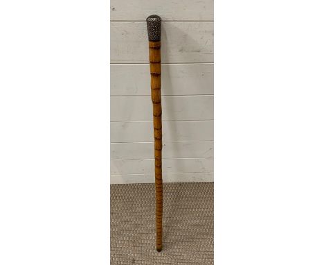 A bamboo walking stick with silver mount in a rocco style. hallmarked London 