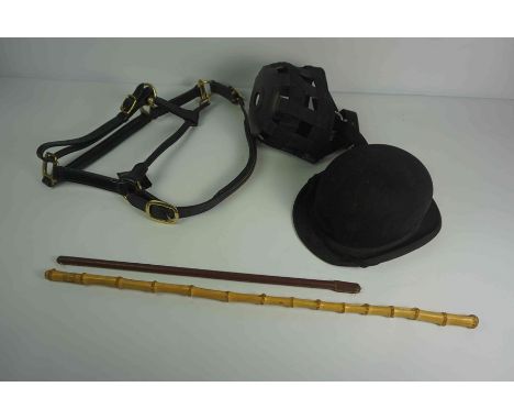 Quantity of Equestrian Accessories, To include five Show Canes, Five Head Collars, Seven Grazing Muzzles, Hunting Crop, Bowle