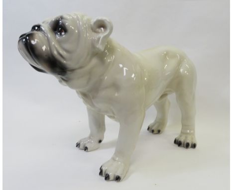 A mid century ceramic model of a Bulldog