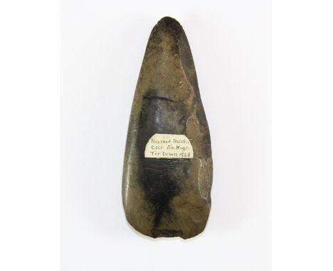 A polished Neolithic axe head Prov. Richardson collection/originally excavated High Tot Devon 1868, L 8.5cm