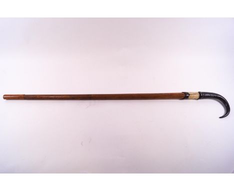 A walking stick with goats horn handle, 82cm high