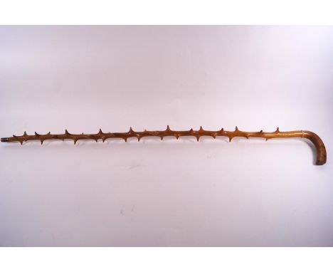 An unusual thorn wood walking stick, 94cm high overall