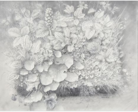 ***Barry Kirk (born 1933) - Pencil drawing heightened in white - Study of mixed flowers, signed, 17ins x 21.5ins, in silvered