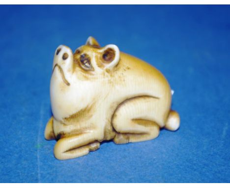 Antique Japanese carved ivory netsuke pig figure.  This item may not be exported without CITES documentation. Height 3cm appr