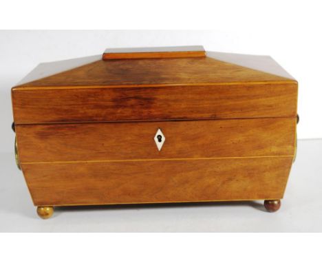 Regency rosewood sarcophagus caddy edged in boxwood, matching triple interior with lidded canisters, rosewood side handles wi