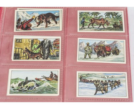 Trade Cards,  Barrett &amp; Bassett, a modern ringbinder containing various set to name Animals in the Service of Man, The Wi