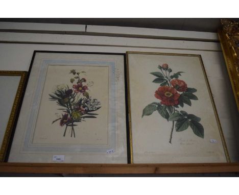 Pair of botanical prints