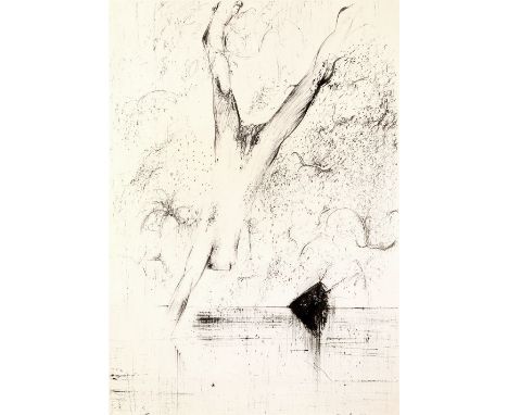 Arthur Boyd (1920-1999) ''Narcissus Diving'', 1978 signed in pencil (lower right) lithograph 79 x 56cm.
