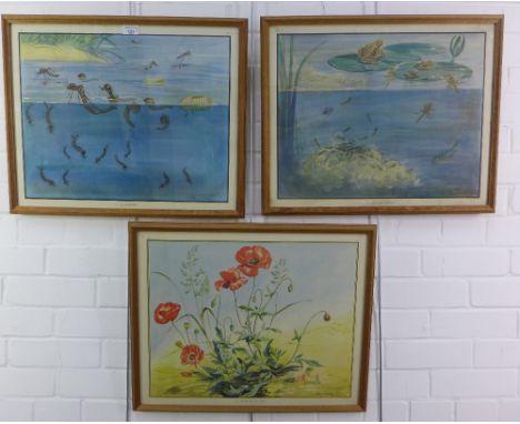 Eileen A. Soper, a group of three vintage coloured prints to include The Cross Little Tadpole, The Elf and the Poppy and The 