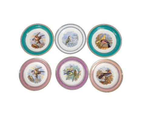A 19th century Prattware plate - decorated with an image of a two caged birds within a green border, 21cm diameter, together 