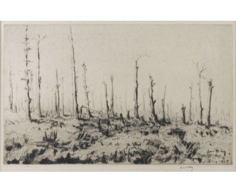 JAMES MCBEY (BRITISH, 1883-1959)Spring, 1917 signed 'James McBey' (in lower margin) drypoint 20.5 x 34cm ARR  Provenance Thom