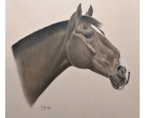 K Michel 
Watercolour drawing heightened with white
Head portrait of "Hideaway" ridden by Graham Fletcher in the 1976 Olympic