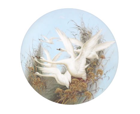 A fine and large Royal Worcester plaque by Charley Baldwyn, dated 1902Circular, painted with five swans in flight set against