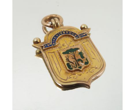 A 9 carat gold medal, with enamel details, 7.3g gross