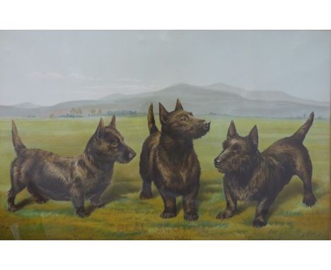 James Buchanan & Co Ltd 'Real Scotch' advertising poster depicting three Scottish Terrier dogs, in original named gilt frame,
