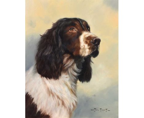 John Trickett (British 1953-) Portrait of an English Springer Spaniel, signed, oil on canvas.49.5cm x 39.5cm (19.5in x 15.5in