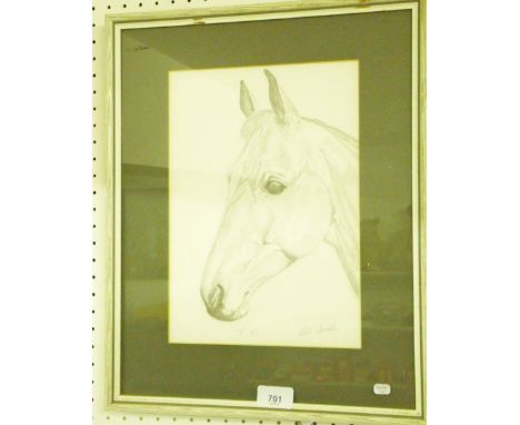Ruth Temple - pencil sketch portrait of a horse
