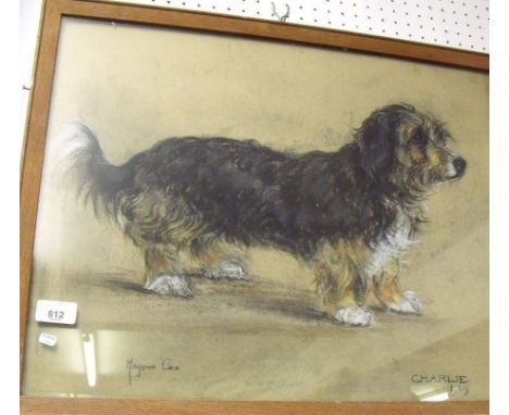 Margery Cox - pastel portrait of a dog 'Charlie', signed