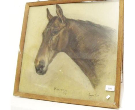 Margery Cox - pastel portrait of a thoroughbred horse 'Montem', signed