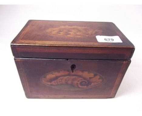 A Georgian mahogany tea caddy with shell marquetry to lid and front 17.5 cm x 10cm x 12cm 