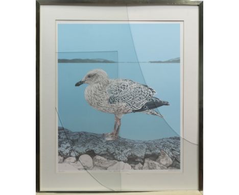 ROCCO N?, THE ANCIENT MARINER print on paper, signed, titled and numbered 38/200 60cm x 50cm Mounted, framed and under (broke