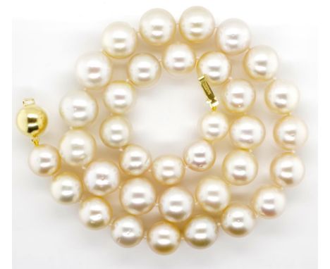 South sea pearl necklace single strand approx 46cm length necklace with 35x 11-13mm near round light golden South sea pearls.