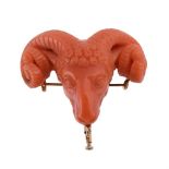 Y A CARVED CORAL RAMS HEAD BROOCH