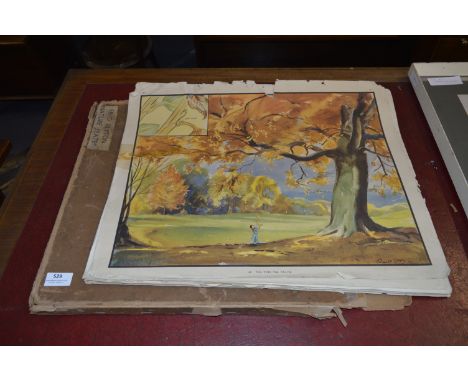 Collection of Coloured Prints "Nature Plates" by Enid Blyton 
