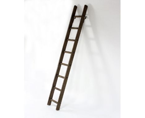 A library ladder and a painted dumb waiter