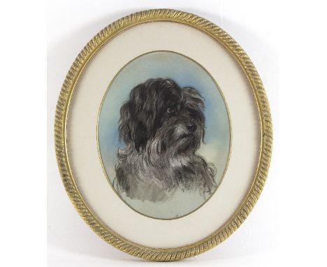 19th Century English School/Portrait of Tibetan Terrier/oval/pastel, 37cm x 30cm