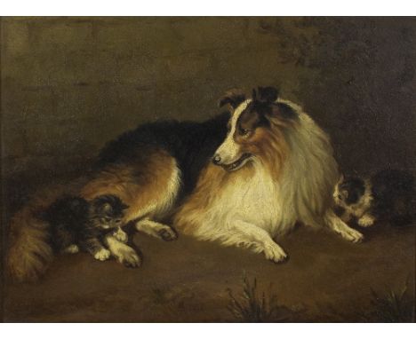 Frederick French (act. 1883-1916)/Kittens Playing with a Collie/signed and dated 1907/oil on board, 22.5cm x 29.5cm