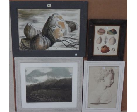 A pastel landscape, a sepia head study, a print by Milner Guillard and a print of shells.(4)